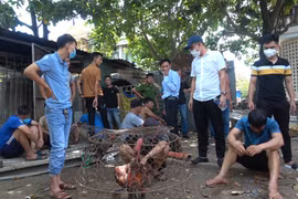 Thừa Thiên Huế: Đá gà ăn tiền, 29 đối tượng bị bắt giữ