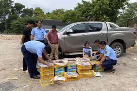 Thái Nguyên: Tiêu hủy 2 tấn trái cây không rõ nguồn gốc, xuất xứ