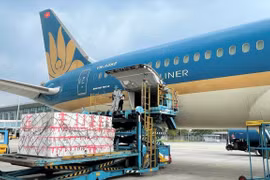 Thị trường vận chuyển hàng hóa đường hàng không chuyên dụng: Thị phần lớn chờ được khai phá