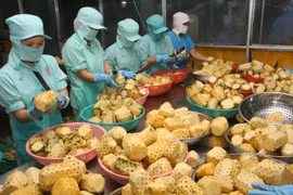 Việt Nam đứng đầu các nước trong khu vực Đông Nam Á xuất khẩu sang Hungary