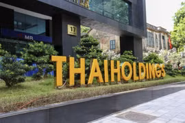Thaiholdings nhận lại dự án 11A Cát Linh, điều chỉnh lợi nhuận năm 2021 về 424 tỷ đồng