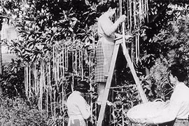 Những trò đùa ngày Cá tháng Tư hay nhất trong lịch sử