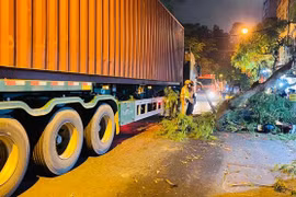 Hà Nội: Container đâm vào gốc cây, cành gãy đè trúng 1 học sinh