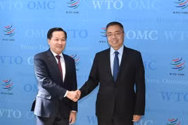 Phó Thủ tướng Lê Minh Khái làm việc với Phó Tổng Giám đốc WTO
