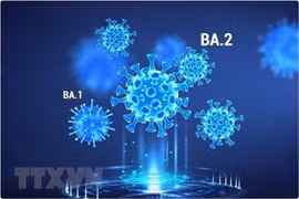 Khả năng tái nhiễm biến thể phụ Omicron là cực hiếm