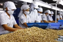 Khẩn trương tháo gỡ vụ việc xuất khẩu điều