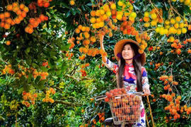 Hàng loạt dự án "khủng" cam kết đầu tư vào Đông Nam Bộ, tổng giá trị tới 4,5 tỷ USD