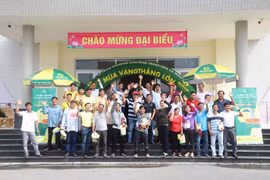 Nâng cấp canh tác, chọn NPK Cà Mau