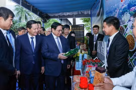 Thủ tướng chủ trì hội nghị phát triển vùng Đông Nam Bộ