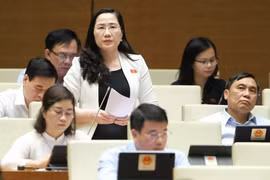 Đại biểu Quốc hội: Nhiều vụ bạo hành trẻ em có sự dung túng, tiếp tay bởi chính những người ruột thịt