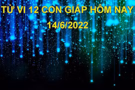 Tử vi 14/6/2022 hôm nay, thứ 3 ngày 16/5 âm lịch của 12 con giáp