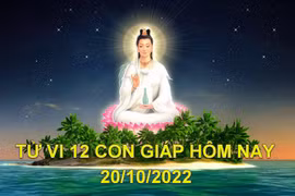 Tử vi hôm nay 20/10/2022, thứ 5 ngày 25/9 âm lịch của 12 con giáp