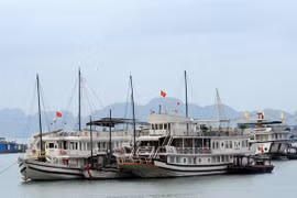 Khai thác thêm 5 tuyến vận tải từ bờ ra đảo góp phần phát triển kinh tế, du lịch