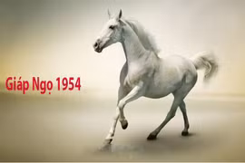 Tử vi 2023 tuổi Ngọ theo từng năm sinh
