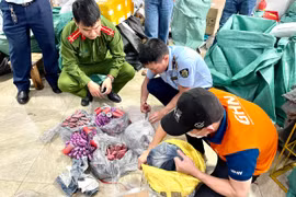 Hà Nội: Phát hiện hơn 11 kg hàng hóa nghi vấn là pháo nổ