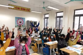 Chuyên gia: Tổ chức học sinh học bán trú càng sớm, càng tốt