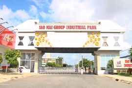 Tập đoàn Sao Mai (ASM) chốt quyền trả cổ tức 2021 tỷ lệ 15%