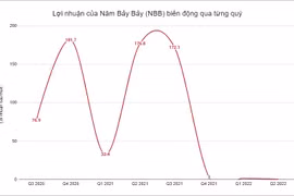 Năm Bảy Bảy (NBB) vay nợ tăng gần 2.000 tỷ trong nửa năm, xuất hiện cổ đông chi 30 tỷ thâu tóm cổ phần