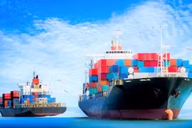 Đến năm 2030, đội tàu biển Việt Nam sẽ đảm nhận 20% thị phần vận tải hàng XNK