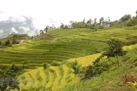 Đổi mới tư duy, tầm nhìn, xây dựng Lào Cai trở thành “điểm đến thiên nhiên, an toàn, hấp dẫn và khác biệt”