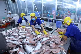 Mỹ tiếp tục giữ nguyên thuế chống bán phá giá cá tra, basa từ Việt Nam