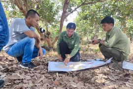 Gia Lai: Hàng nghìn ha rừng “không cánh mà bay”, chủ rừng nói giảm qua các năm chứ không phải mất