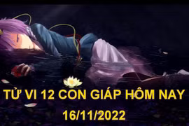 Tử vi hôm nay 16/11/2022, thứ 4 ngày 23/10 âm lịch của 12 con giáp
