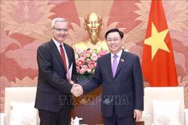 Thúc đẩy quan hệ Đối tác Chiến lược Việt Nam - Pháp