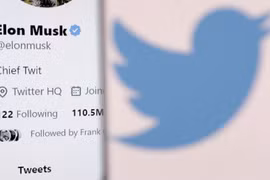 Musk sẽ khởi động lại dịch vụ 'tích xanh' của Twitter vào ngày 29/11