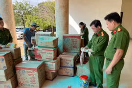 Liên tiếp bắt giữ số lượng lớn hàng hóa không có hóa đơn chứng từ tại Quảng Bình