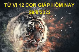 Tử vi hôm nay 29/8/2022, thứ 2 ngày 3/8 âm lịch của 12 con giáp