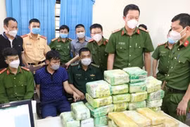Đôn đốc việc xây dựng và triển khai các dự án trong Chương trình phòng chống ma túy