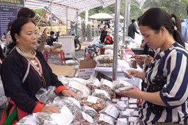 Hà Nội: Ban hành Kế hoạch về triển khai Dự án 8 thuộc Chương trình MTQG vùng đồng bào dân tộc thiểu số