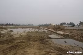 Thí điểm dùng cát biển đắp nền cao tốc khu vực Đồng bằng sông Cửu Long