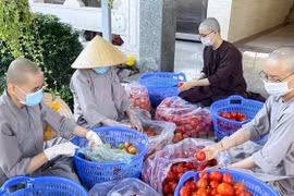 Sống tinh thần Thư Chung