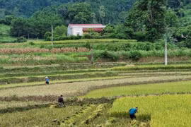 Bài 1: Chủ trương đúng đắn nhưng phát sinh bất cập khi “nhập” theo “cơ học”