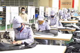 VinFast và Infineon mở rộng quan hệ hợp tác trong lĩnh vực điện hóa