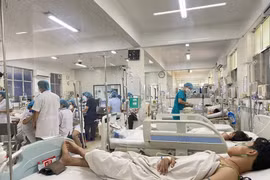 Hà Nội: Không chủ quan, lơ là chủ động ngăn chặn tình trạng lây lan dịch sốt xuất huyết