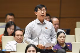 Đại biểu Quốc hội: Những cơ quan nào cát cứ thông tin, dữ liệu?