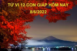 Tử vi 8/6/2022 hôm nay, thứ 4 ngày 10/5 âm lịch của 12 con giáp