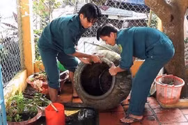 TP. HCM đứng trước nguy cơ dịch chồng dịch 