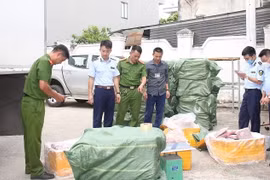 Vận chuyển 1,2 tấn trường lợn từ Hà Nội đi các tỉnh phía Nam tiêu thụ