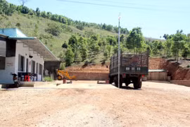 UBND tỉnh Kon Tum chỉ đạo xử lý các trạm cân "mọc" trái phép