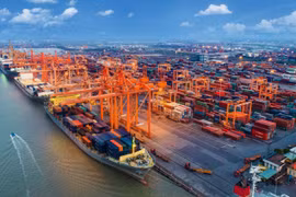 Xem xét miễn, giảm phí hạ tầng cảng biển với hàng quá cảnh đường thủy nội địa