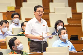 Kỳ họp bất thường rất cần thiết, thể hiện rõ tinh thần chủ động, đổi mới