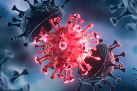 Biến thể Omicron có thể là "liều vaccine tự nhiên" giúp chấm dứt COVID-19