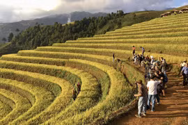 Du khách háo hức săn ảnh đẹp ruộng bậc thang Mù Cang Chải
