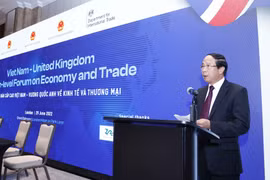 Thúc đẩy hợp tác kinh tế, đầu tư và thương mại Việt Nam - Vương quốc Anh