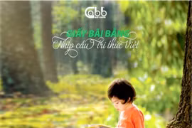 Giấy Bãi Bằng, niềm tự hào của người Việt