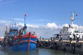 Tàu cá vận chuyển 85.000 lít dầu không rõ nguồn gốc trên biển Vũng Tàu